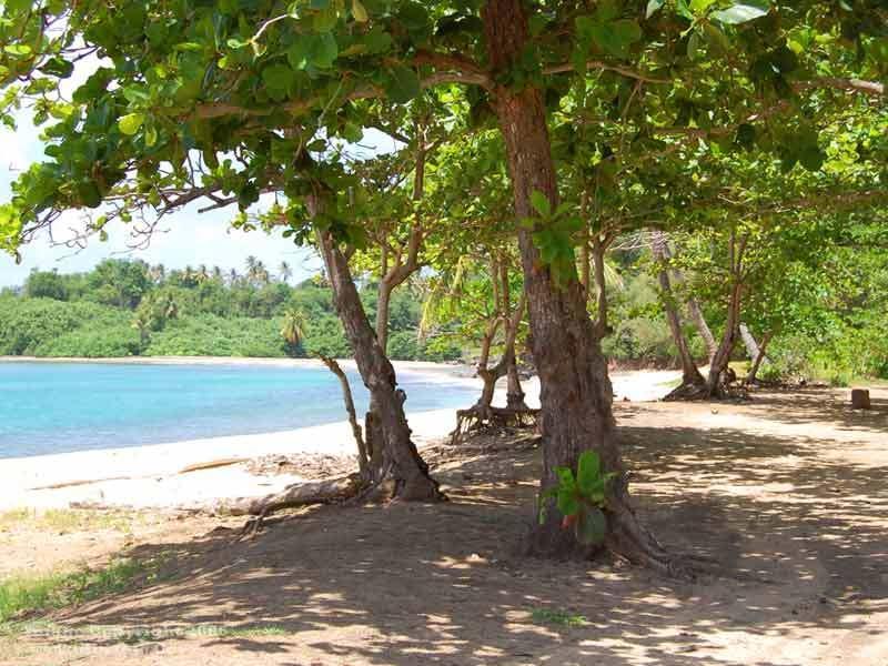Hotel Calibishie Cove Exterior foto