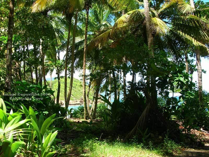 Hotel Calibishie Cove Exterior foto