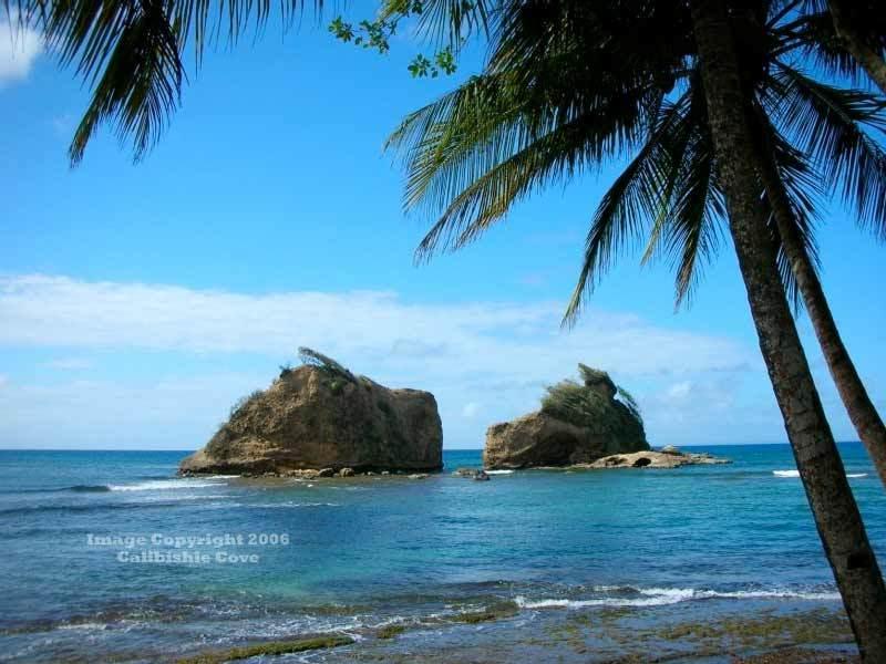 Hotel Calibishie Cove Exterior foto